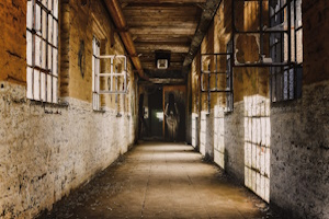 Krimiwanderung im Frankfurter Grüngürtel – Rennen gegen die Zeit: Ein neuer Fall für die Ermittler Metz & Schäfer