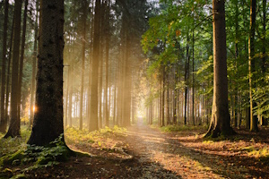 AdobeStock_298228352